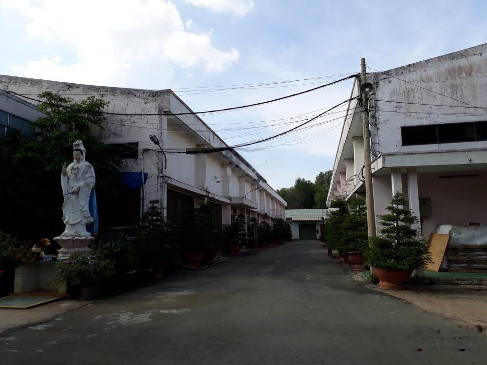 Cần cho thuê nhà xưởng mặt tiền đường Tỉnh lộ 15, giá rẻ