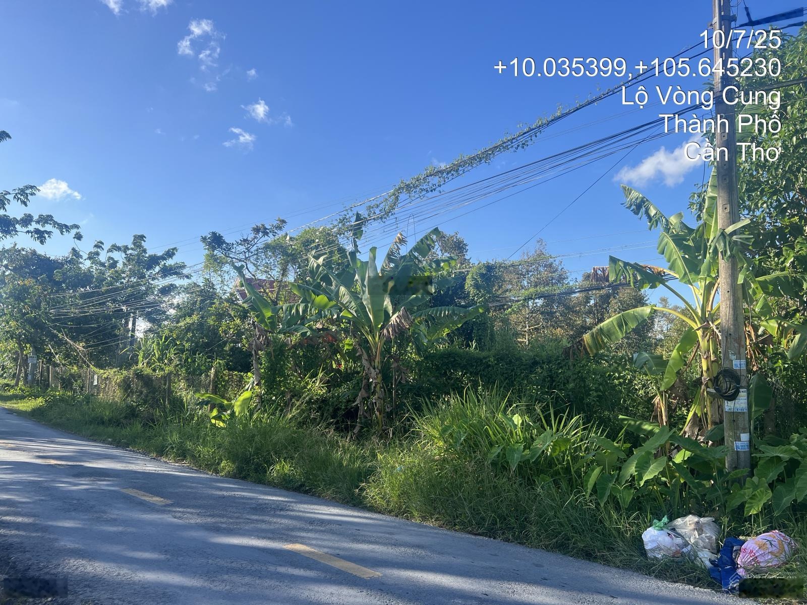 Phát mãi lô 1511m2 mặt tiền Lộ Vòng Cung, Tân Thới, Phong Điền, Cần Thơ giá chỉ 2.6 tỷ đồng