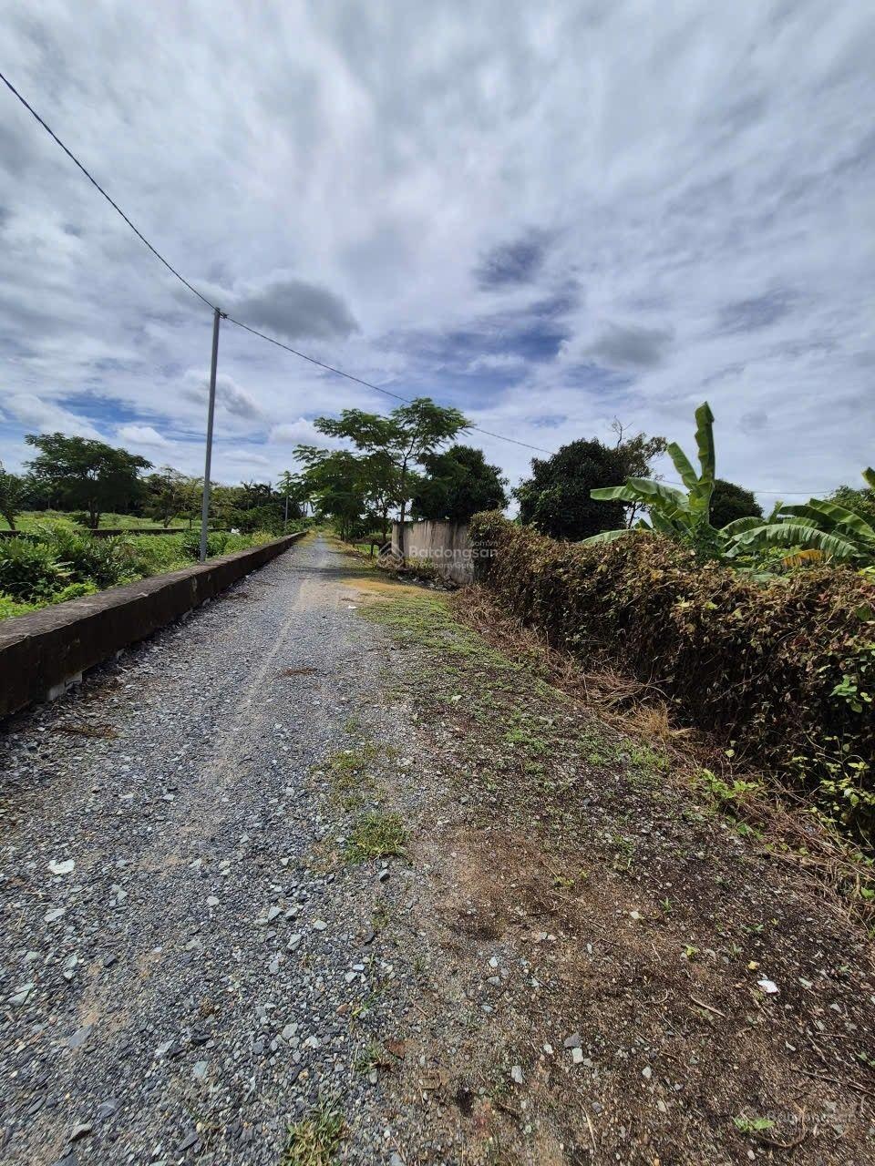 Bán đất 60x45m, tổng 2563m2, đất 2 mặt tiền đã san lấp bao đẹp