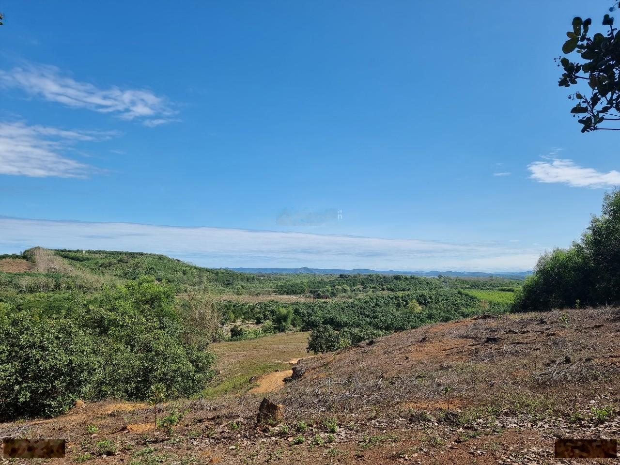 Bán 4000m² đất vườn gần hồ Trị An cách QL20 chỉ 500m.Giá 220 tr/sào. Giấy tờ đầy đủ