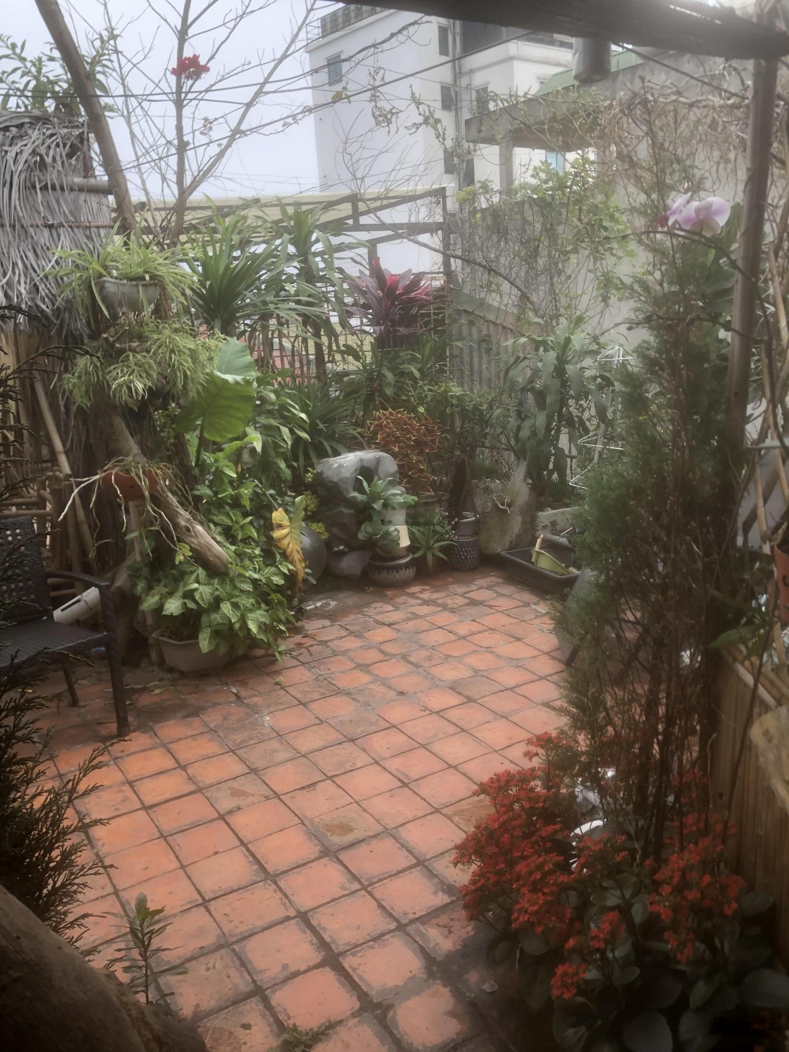 Vườn mái tầng 4 nhà TT 110m2 thoáng 4 phía, yên tĩnh, riêng biệt dành cho cafe sáng tạo ý tưởng mới