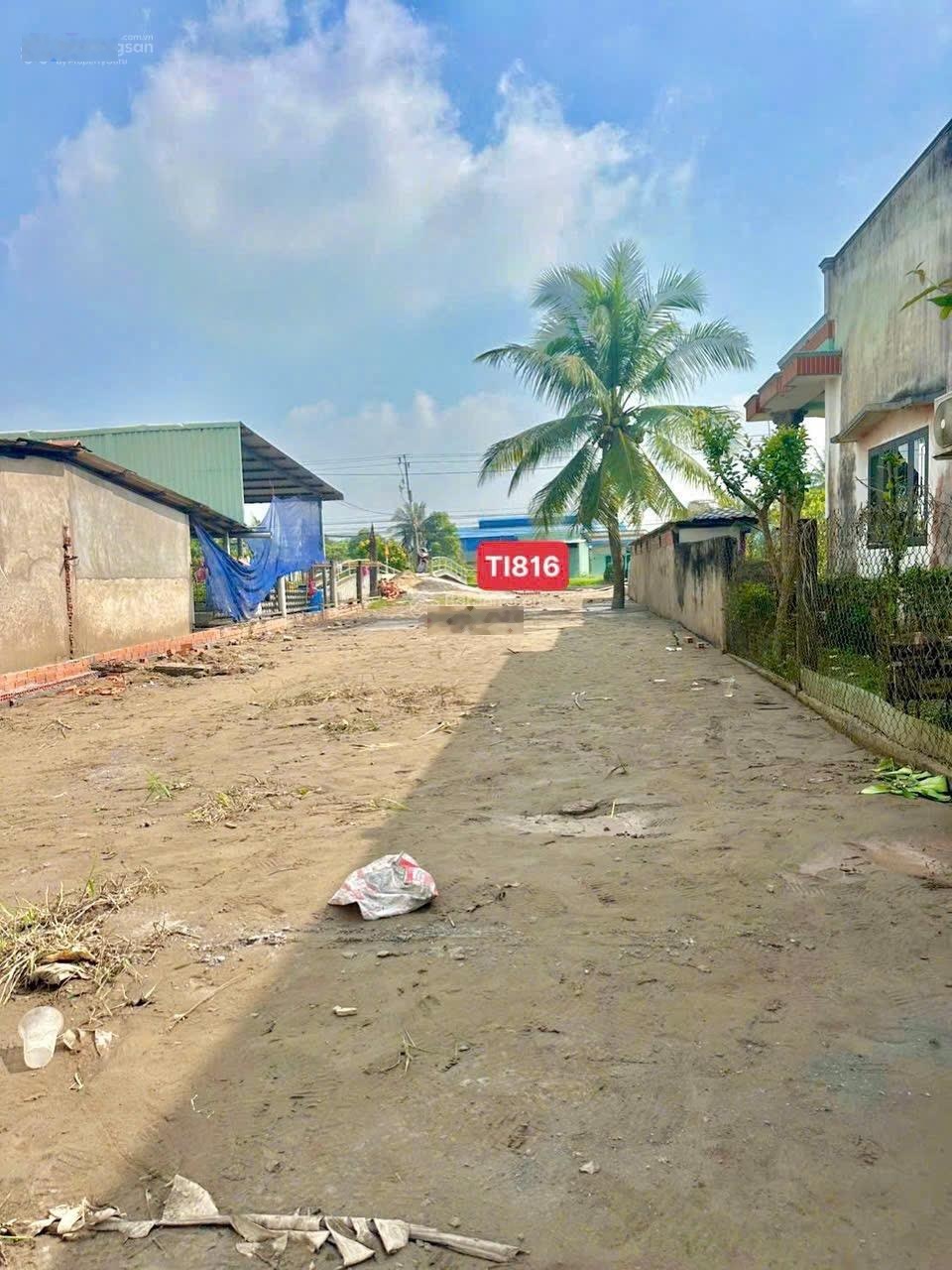 Đất thổ cư cực mặt tiền nhựa 816 ở Bình Đức Bến Lức Long An Tây Ninh mới
