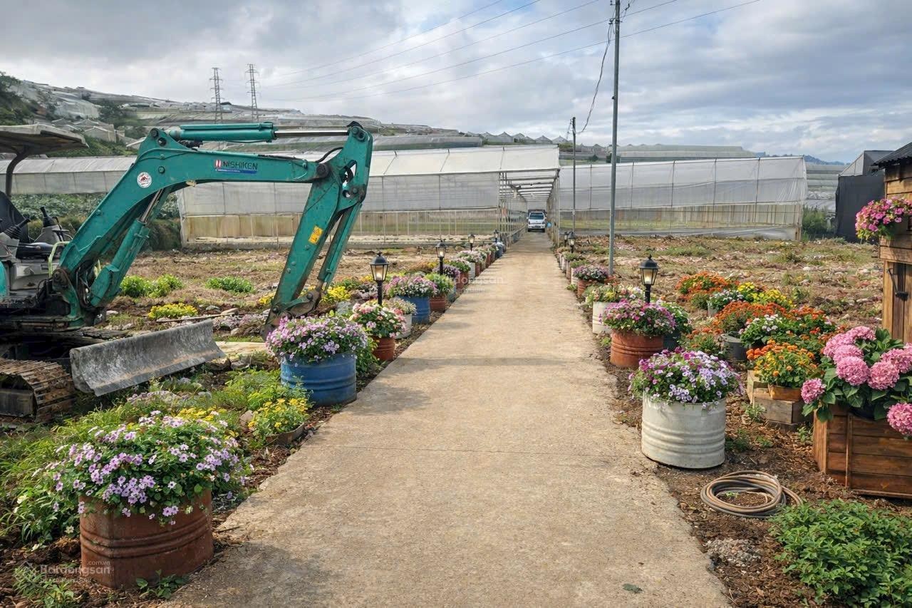 77m2 đất Thái Phiên tặng GPXD 4 tầng 1,4 tỷ