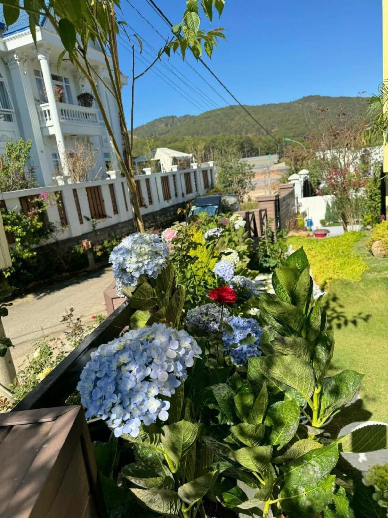 Bán biệt thự 2 mặt tiền thuận tiện kinh doanh du lịch nghỉ dưỡng tại đà lạt