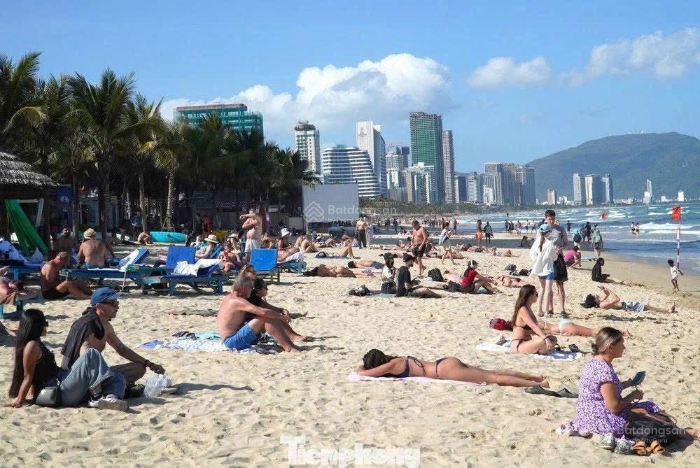 Bán Cặp Chính Hữu - 255m2 - Ngang 10m , Cách biển 500m chuẩn xây khách sạn 12 Tầng - 33ty5