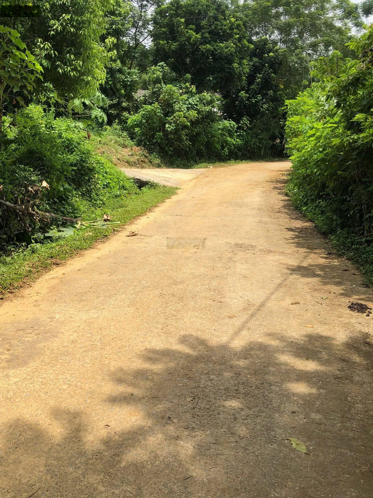 Bán đất full thổ cư tại Lạc Lương, Yên Thuỷ, Hoà Bình