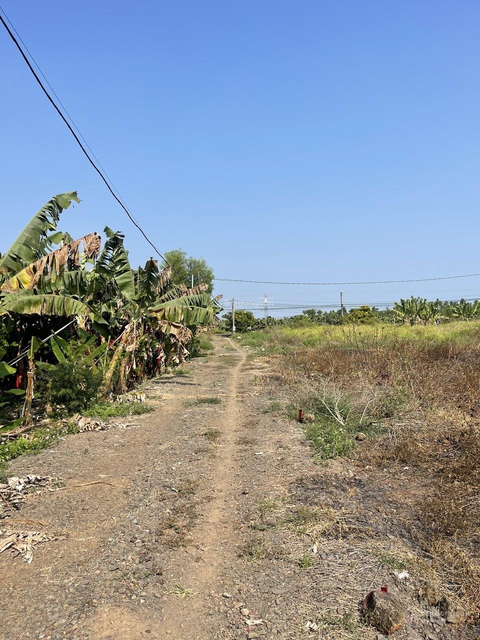 Cần bán gấp lô đất nền thổ cư 105m2 tại xã Bàu Hàm tỉnh Đồng Nai giá chỉ 599 triệu