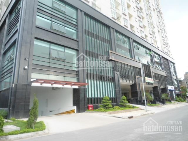 Cho thuê văn phòng quận Cầu Giấy, khu Nguyễn Thị Định, phường Yên Hòa 250m2. Giá 120ng/m2/th
