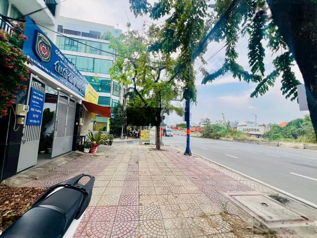 ảnh