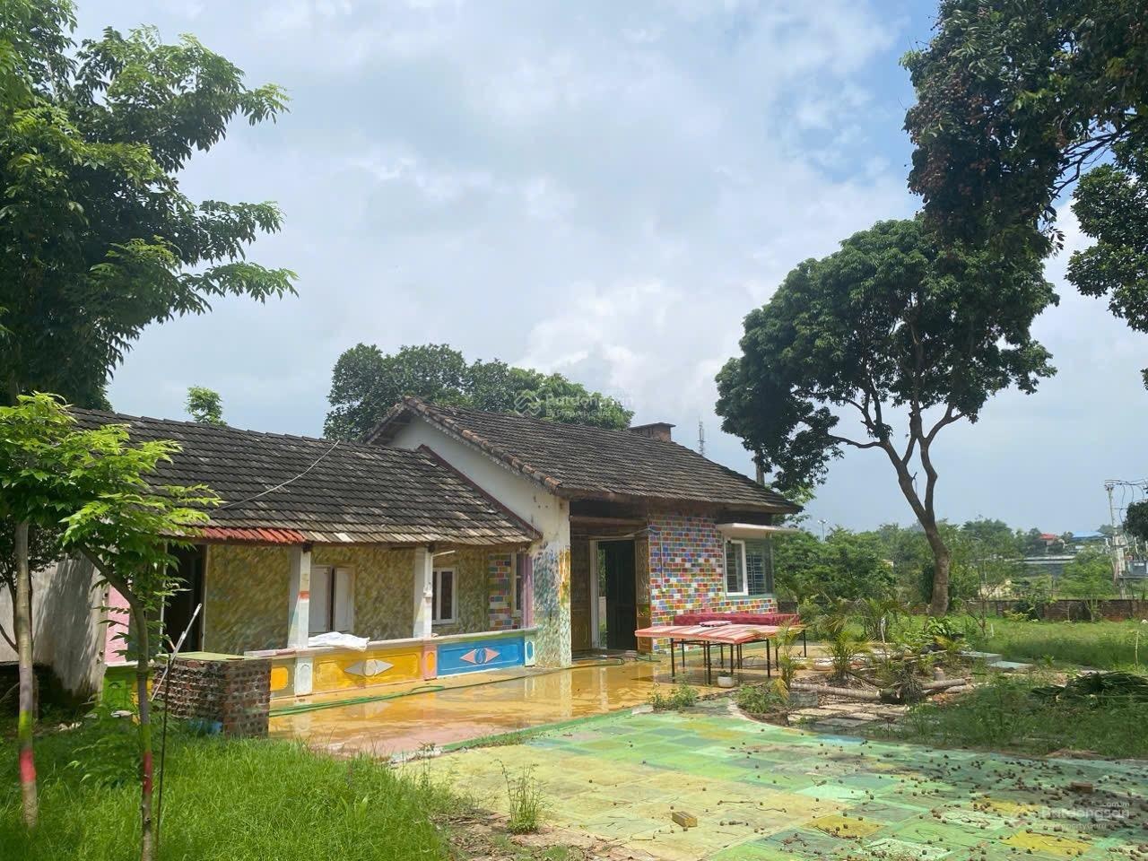 Chưa đến 2 tỷ sở hữu lô đất có sẵn nhà cấp 4 tại yên bài