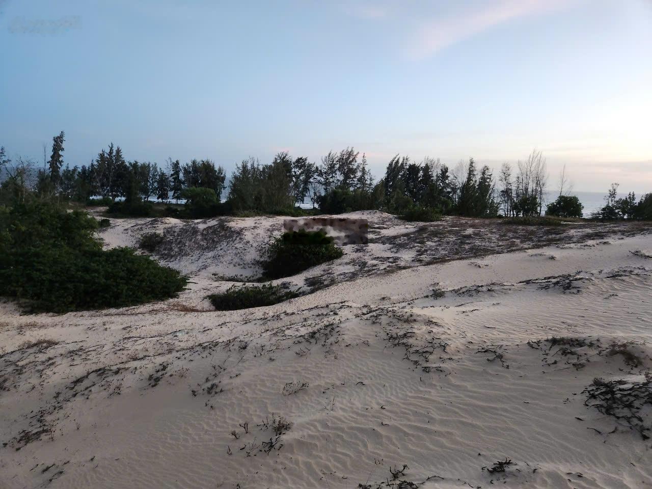 Bán đất trực diện biển, đất biển làm dự án nghỉ dưỡng, mặt tiền biển 150m, sở hữu mặt biển riêng