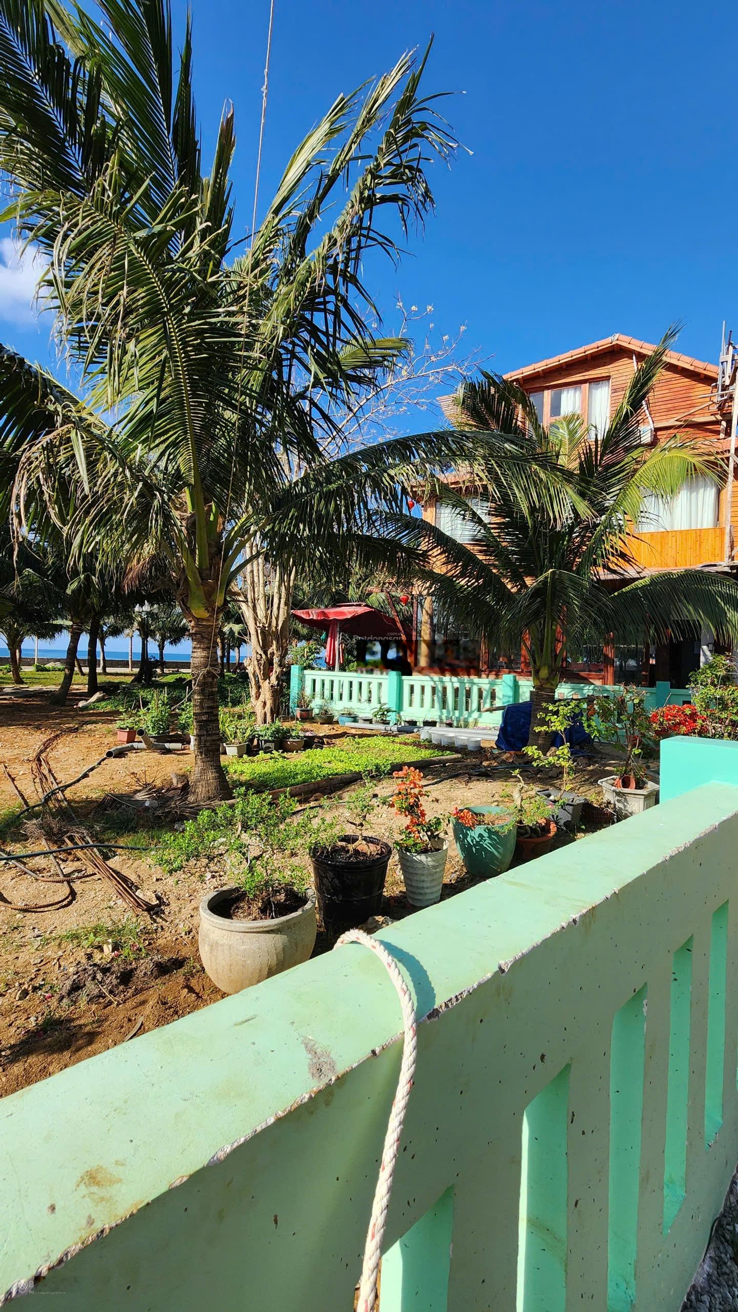 Bán siêu phẩm lô góc mặt biển ngay công viên trung tâm đặc khu lý sơn