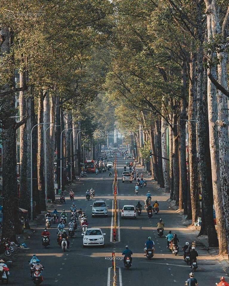 Hẻm 5m Nguyễn Chí Thanh, P7, Quận 10, DT: 4.6m X 25m, vuông vức, DTCN: 110m giá 21 tỷ TL
