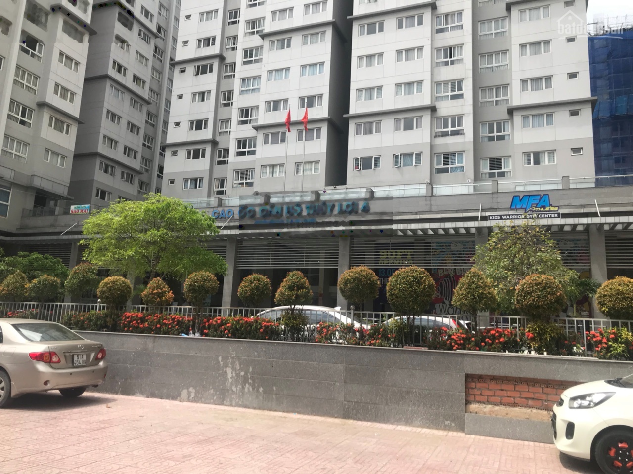 ảnh