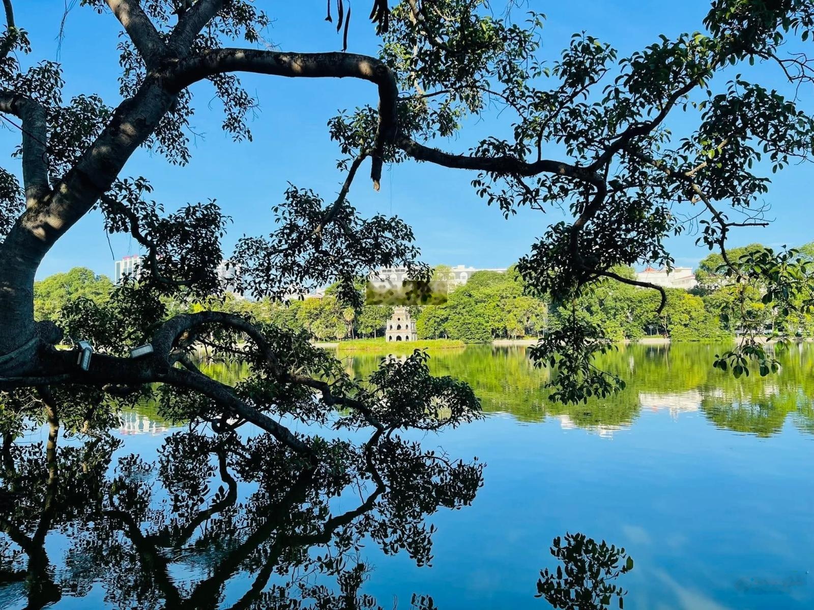 Bán gấp nhà mặt phố Lý Nam Đế DT 82m2, MT 6.2m, vừa kinh doanh dòng tiền vừa ở tuyệt vời. Giá tốt