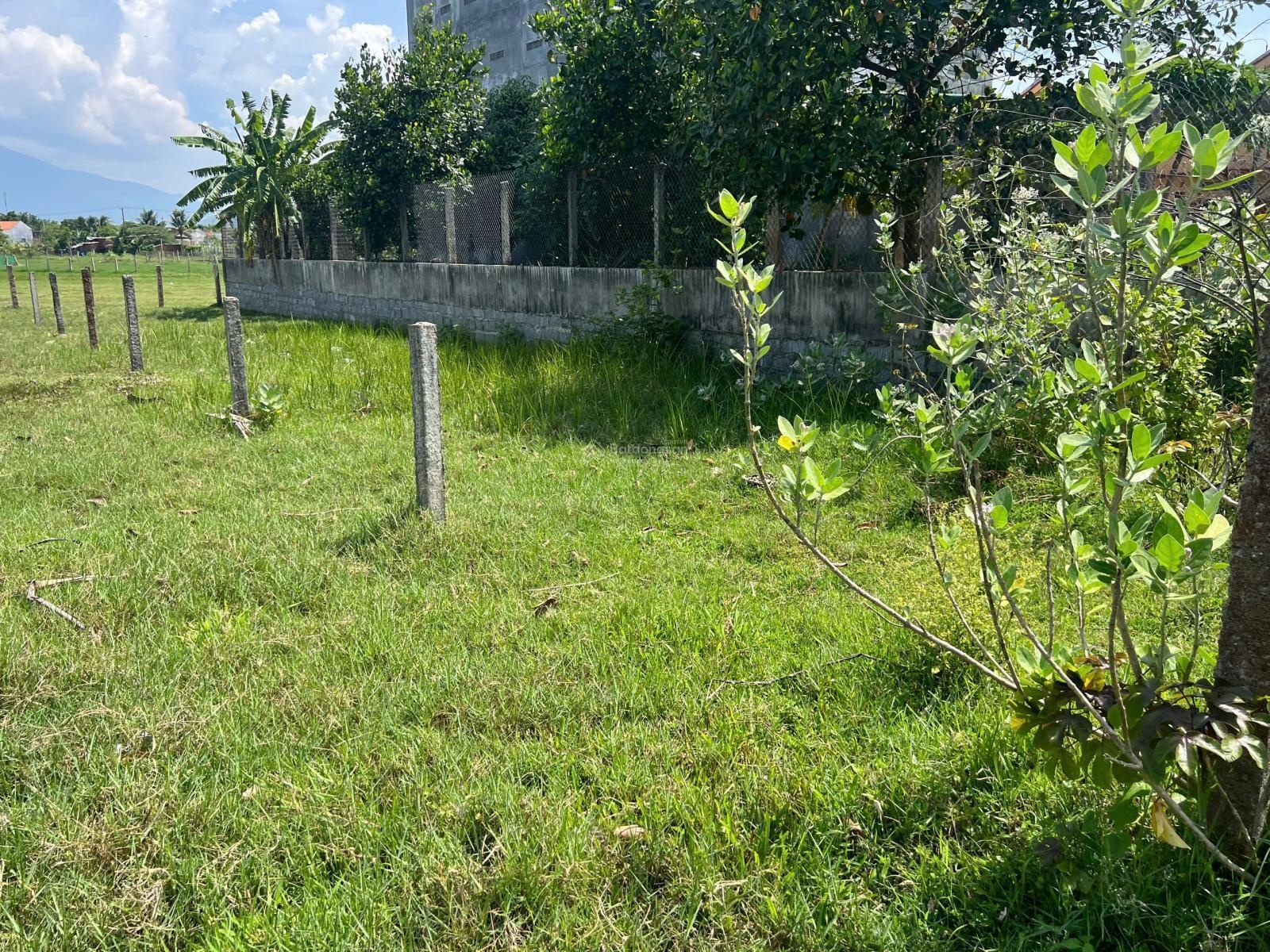 Đất trung tâm phường ninh hoà giá chỉ 579 triệu