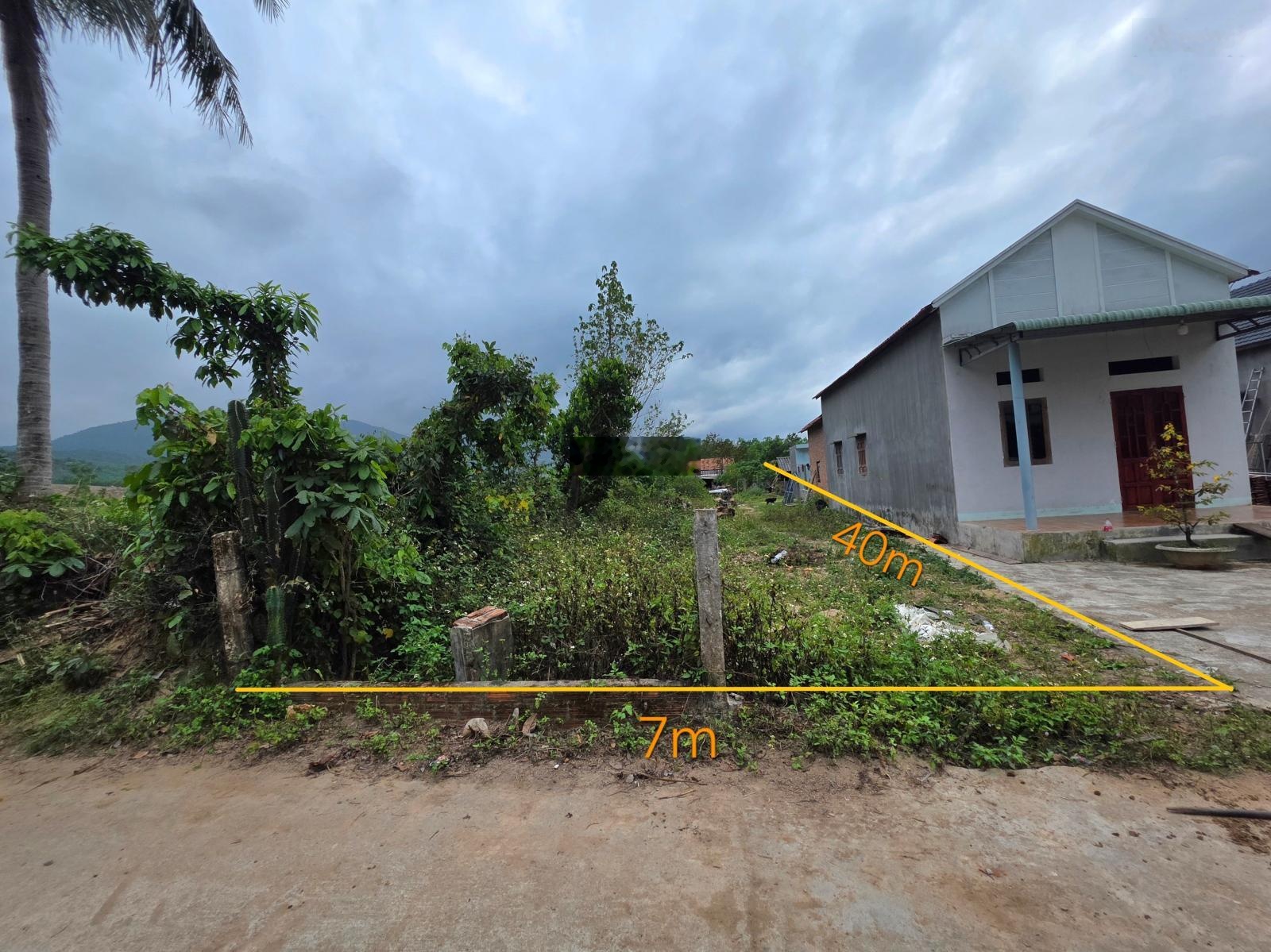 Cần bán lô đất thổ cư ngay khu sinh hoạt cộng đồng Đồng Sim, xã Tây Xuân, Tây Sơn, Bình Định