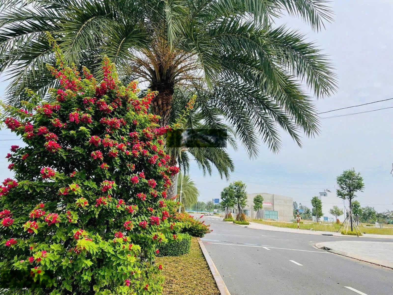 Ngoài bắc tìm không khí trong lành? về sân bay long thành ở là mê ngay! giá chỉ 15tr/tr sổ riêng.