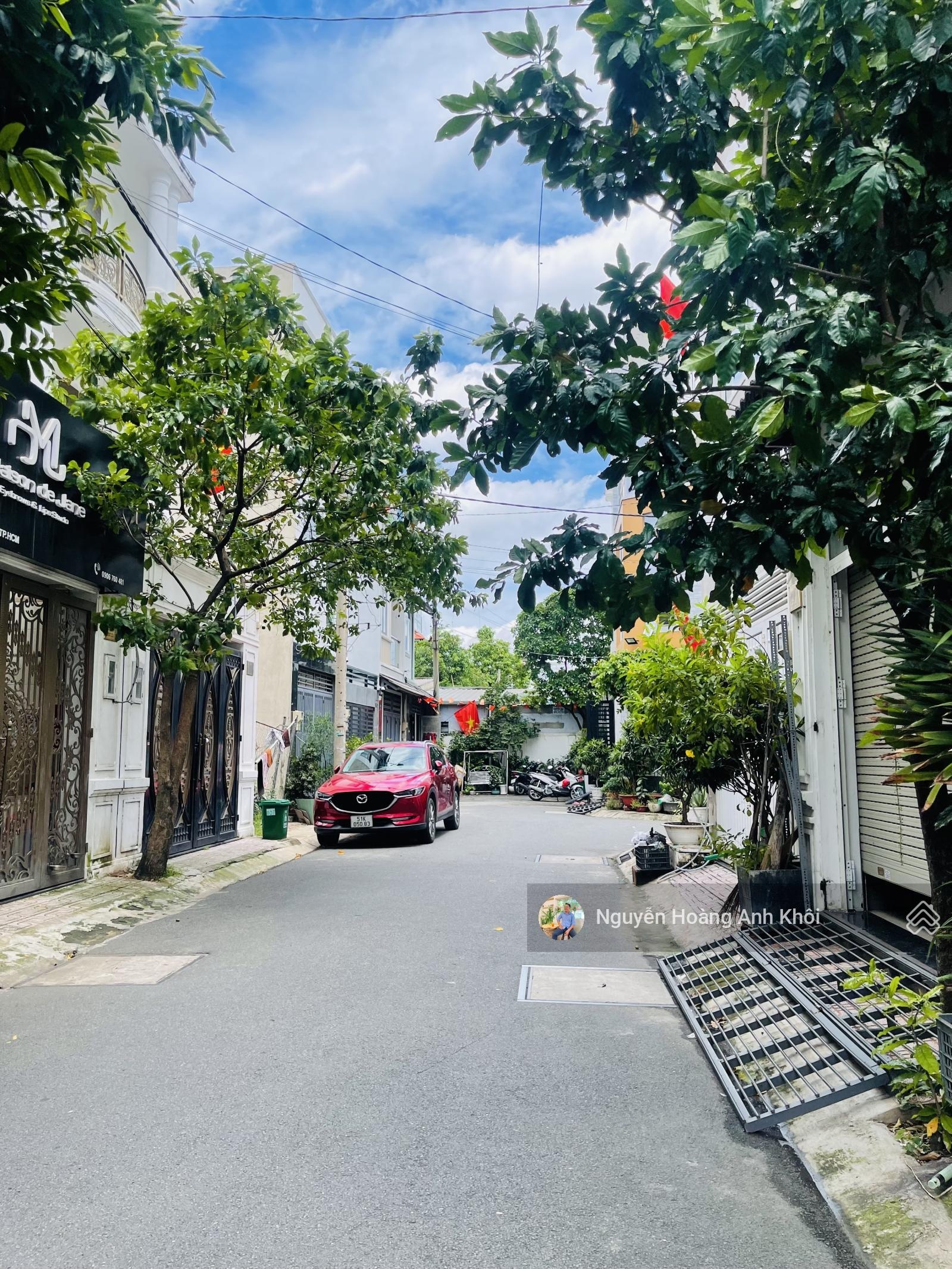 ảnh
