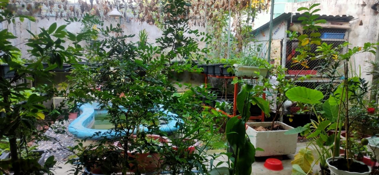 Chính chủ bán gấp nhà mặt tiền 145m2, 5.8 tỷ (có thương lượng) gần mọi tiện ích