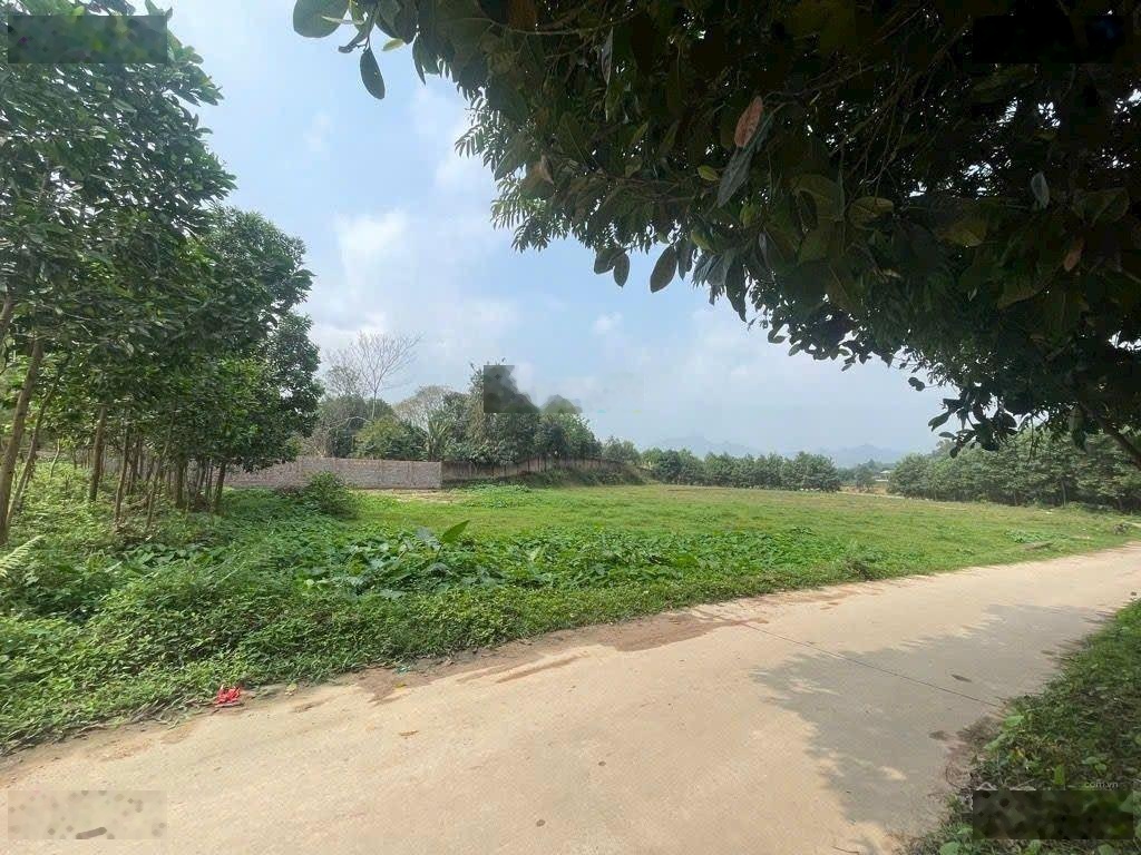 Chỉ 5 triệu/m^2 - sở hữu ngay 1400m2 đất làm biệt thự nhà vườn tại đô lương