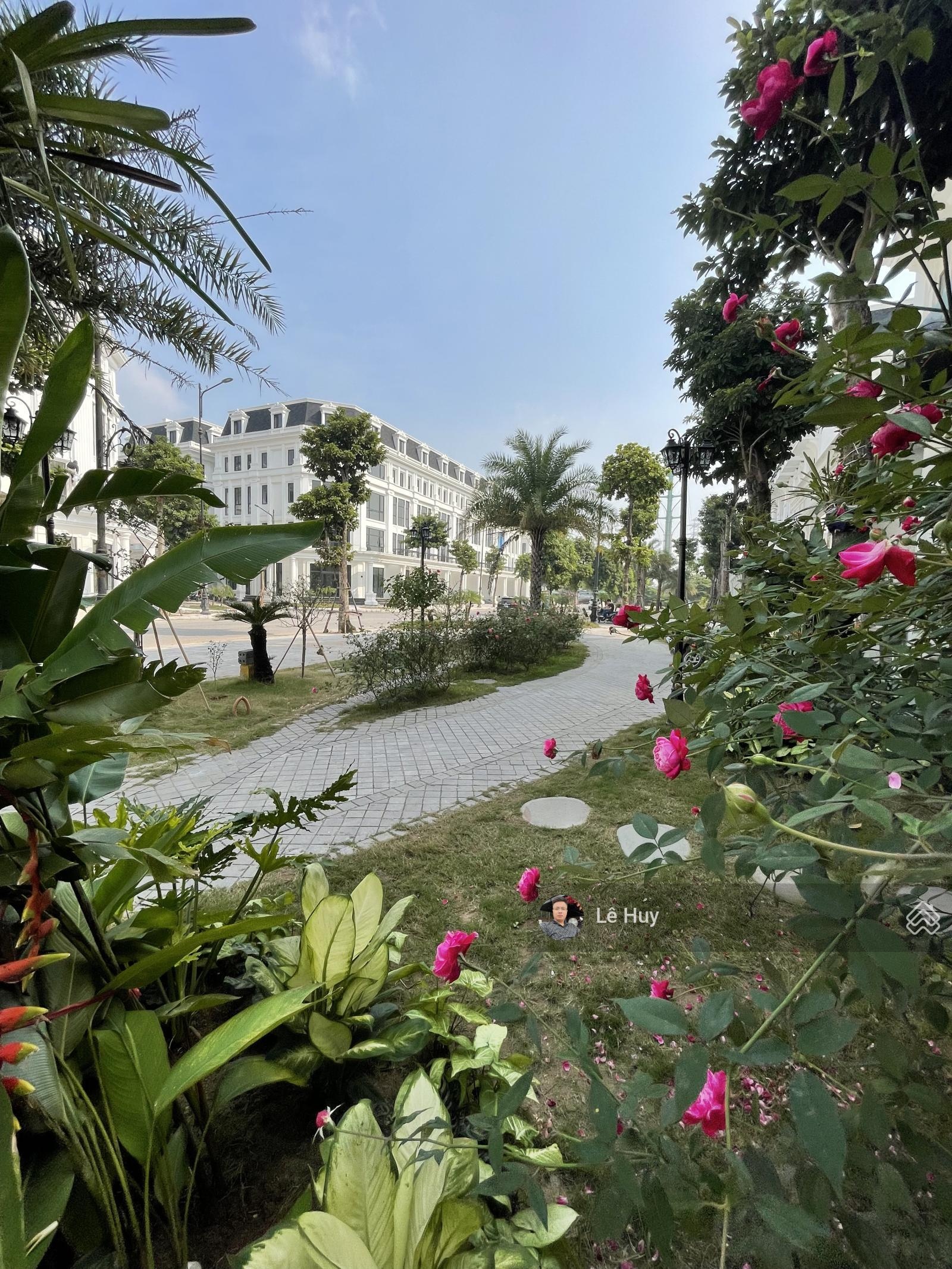 Chính chủ sổ đỏ cần bán căn liền kề 95m2 đường Louis 2, sát đường 40m tại KĐT Louis City Hoàng Mai