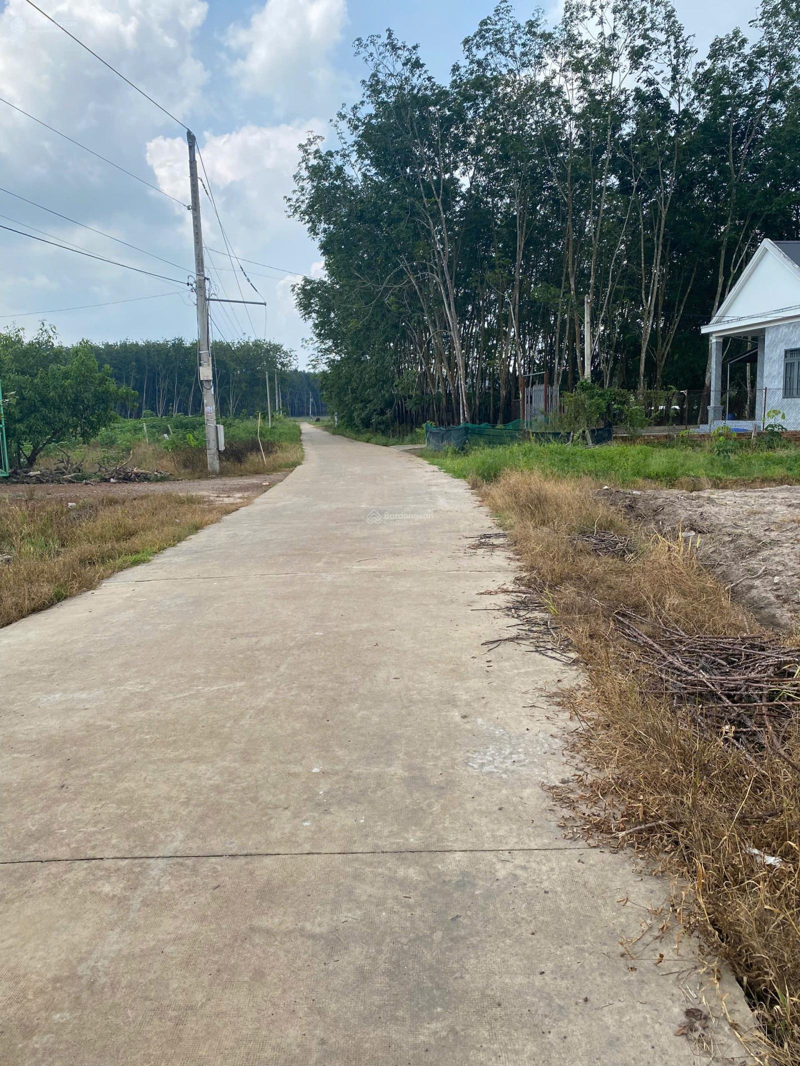 Chính Chủ Bán Đất Minh Lập Chơn Thành, Đồng Nai, 5x50 mét sẳn 100m2 thổ cư, LH: 0916827569