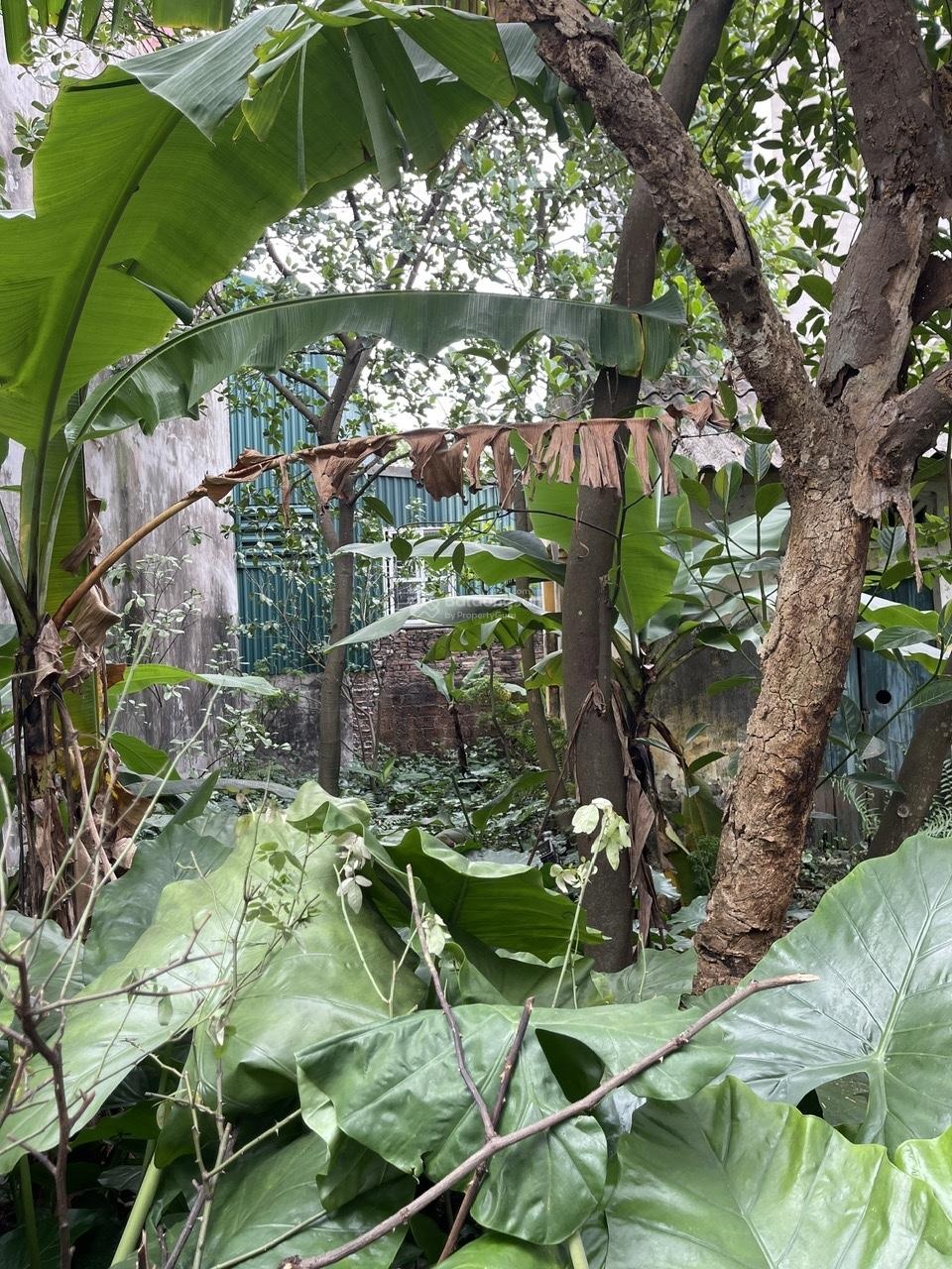 Bán mảnh đất thổ cư 180m2 tại Thọ Am, xã Nam Phù, TP HN