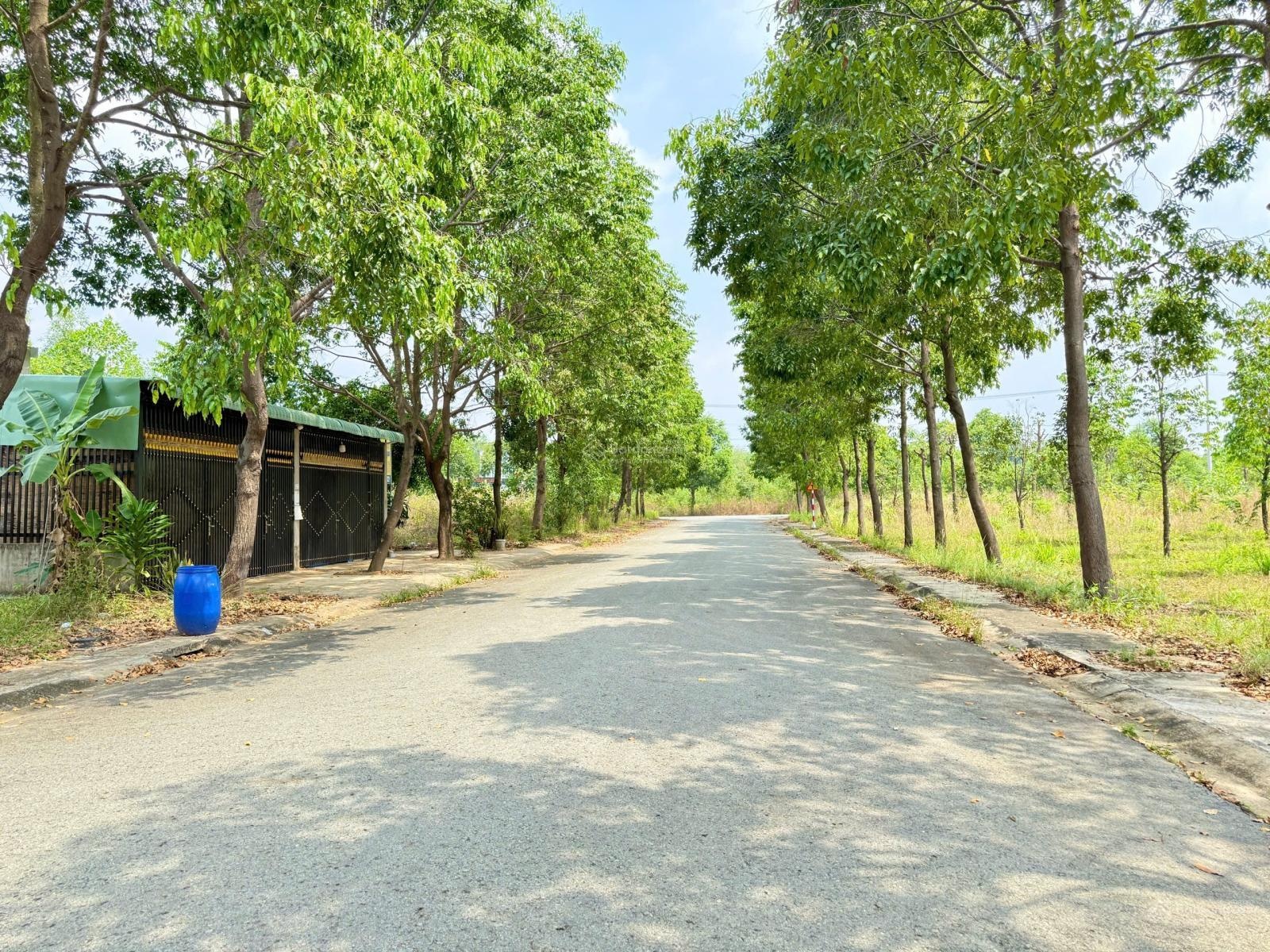 Chủ ngợp gửi bán lô đất 150m2 Thới Hoà ngay sau lưng UBND Thới Hoà cách Quốc Lộ 13 chỉ 200m, sổ sẵn
