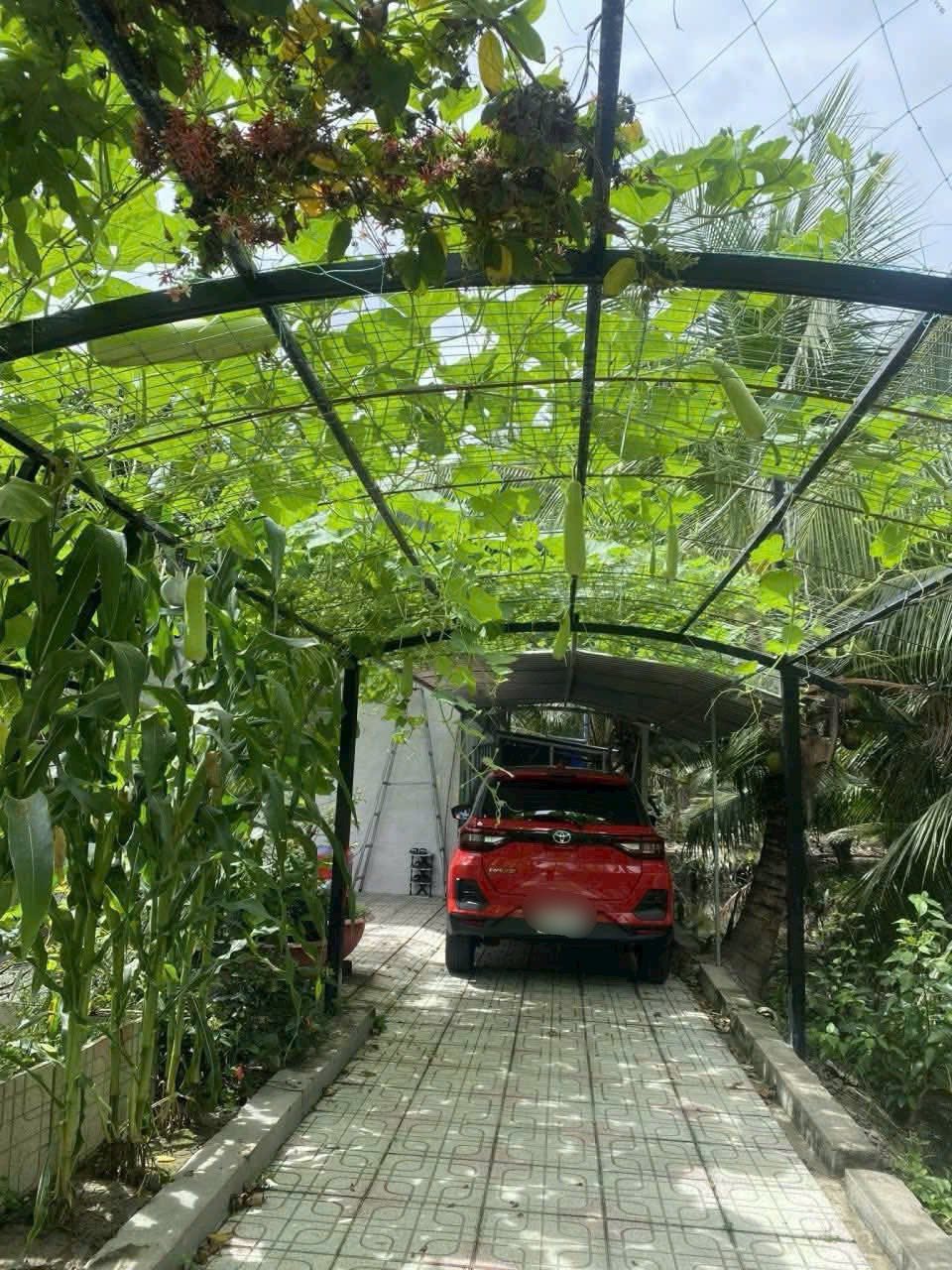 Bán gần 1500m2 đất và nhà tại Nhơn Thạnh, Bến Tre cũ, giá 2 tỷ trọn thửa