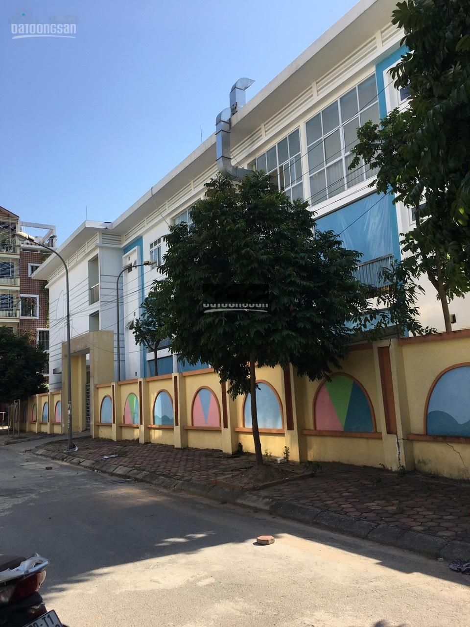 Cần bán gấp 50m2 đất dịch vụ Dương Nội, đối diện siêu thị, kinh doanh tốt
