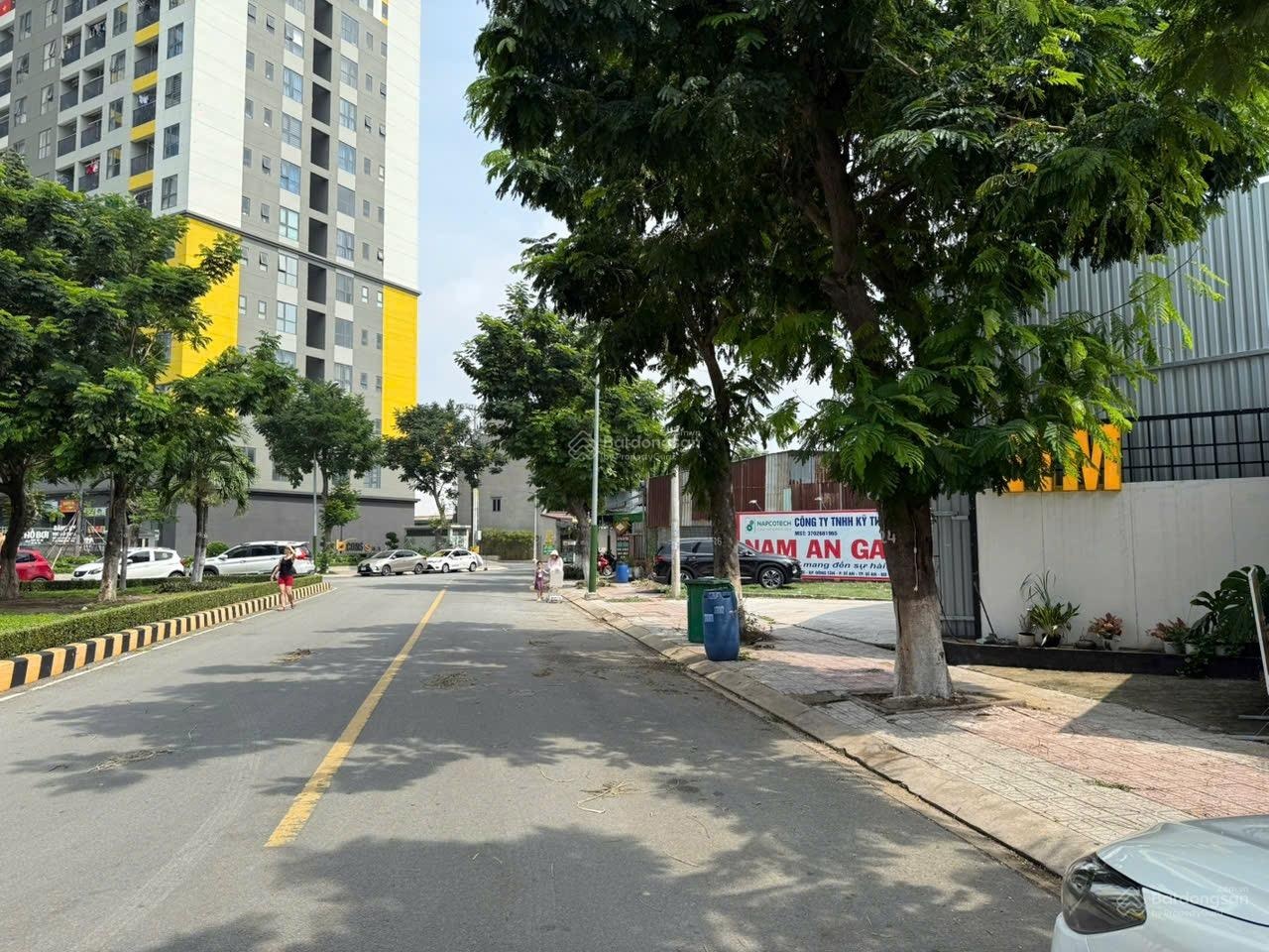 ảnh