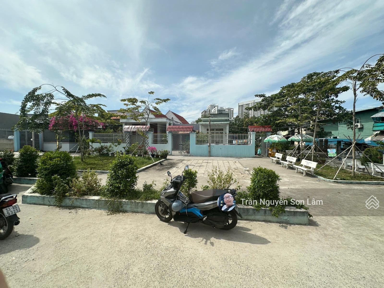 ảnh