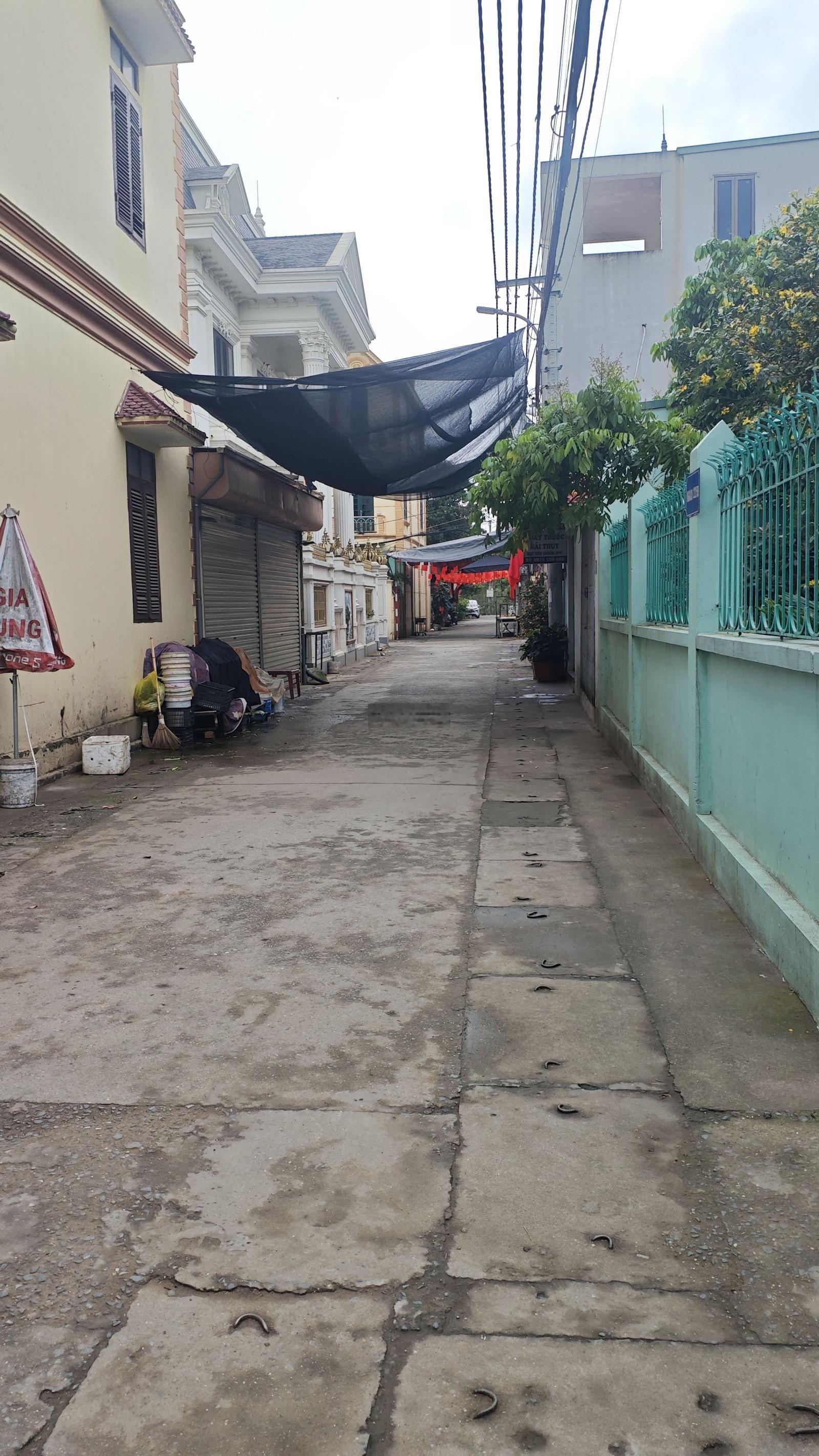 Bán đất Đặng Xá, Gia Lâm 116m2. Ngõ thông Ô tô vào tận nơi. Cách trục Ỷ Lan 200m giá 68tr/m2