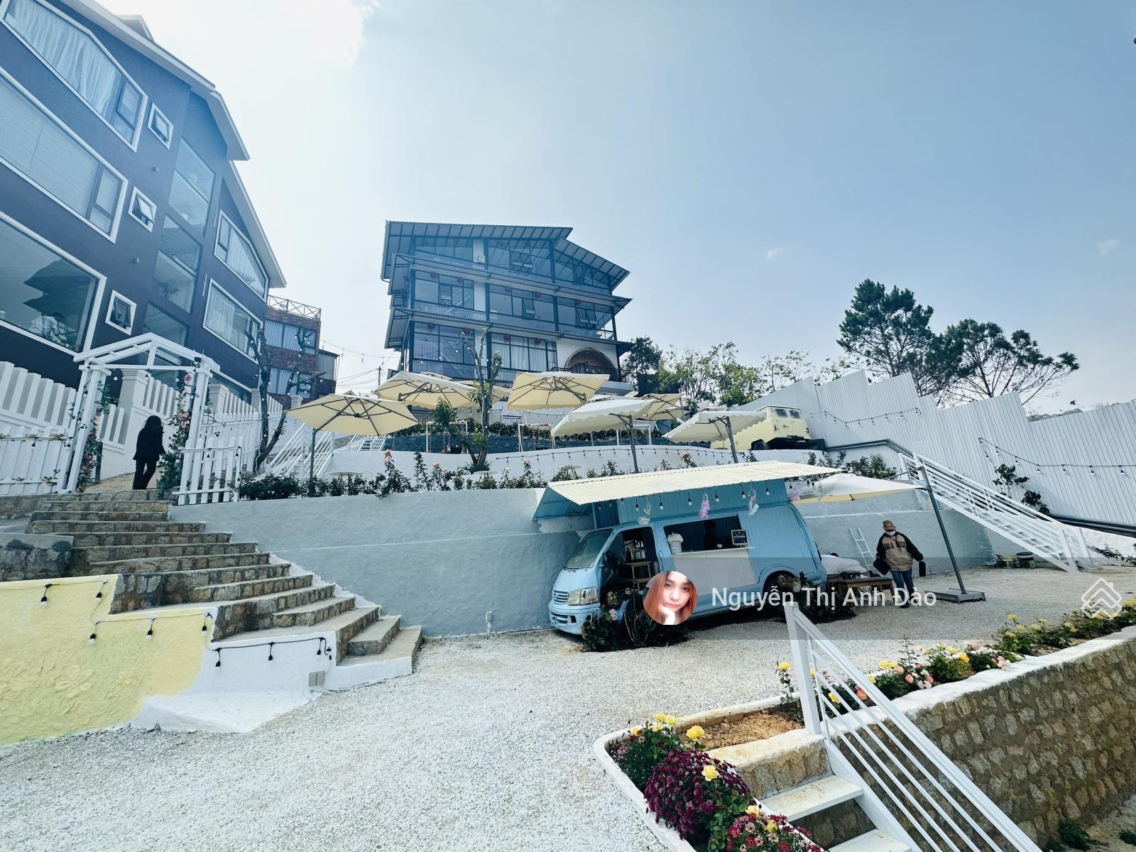 Bán đất tặng mô hình cafe view thông đẹp vĩnh viễn tại hoàng hoa thám đà lạt cung đường cafe view
