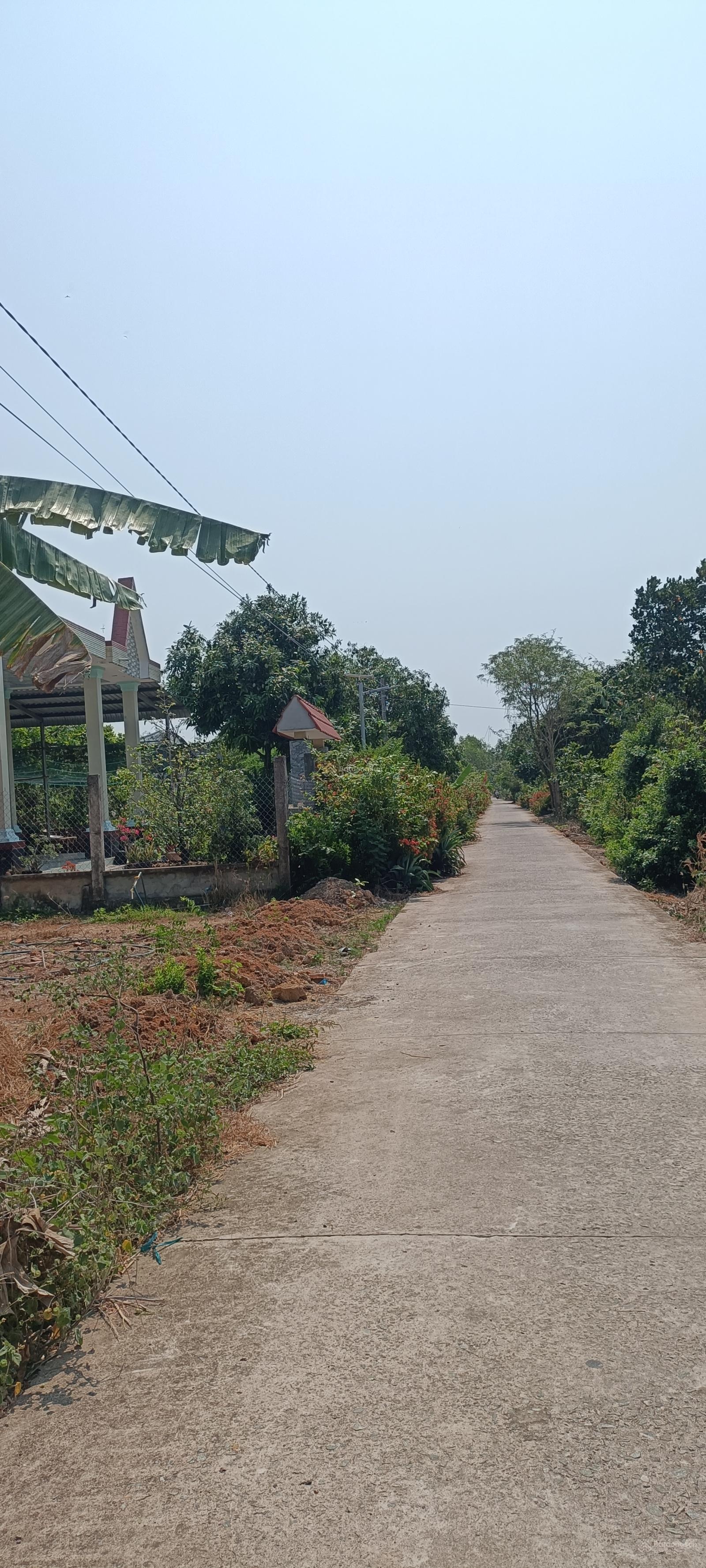 Bán đất tại Nhơn Hoà, Tân Thạnh, Long An, 490 triệu, 200m2