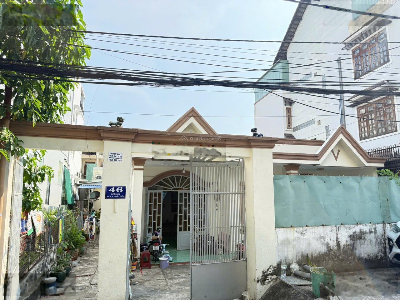 ảnh