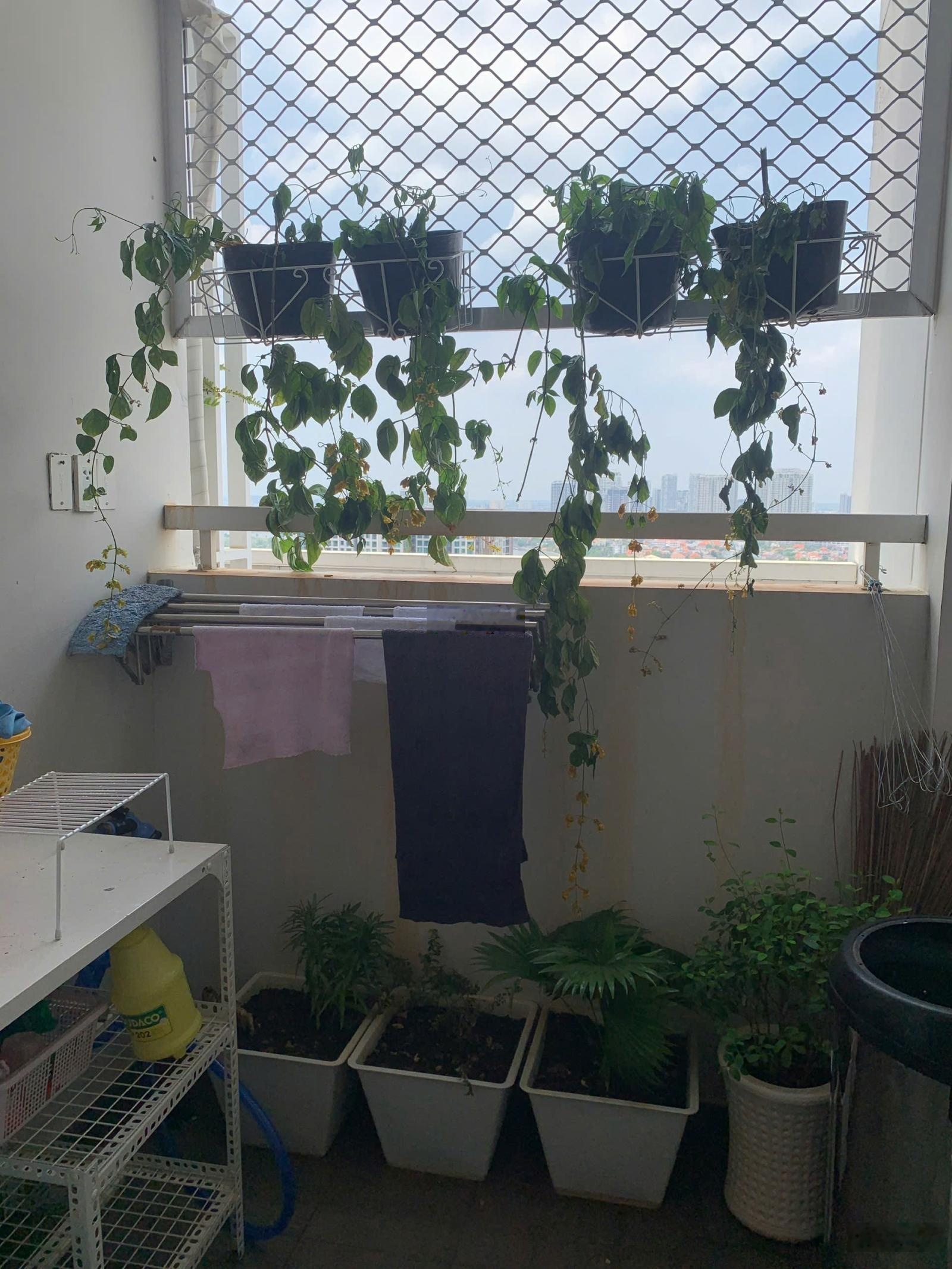 Bán căn hộ tropic garden thảo điền -căn góc 75,1m² | 1pn rộng - đang có hđ thuê 16,5tr/tháng