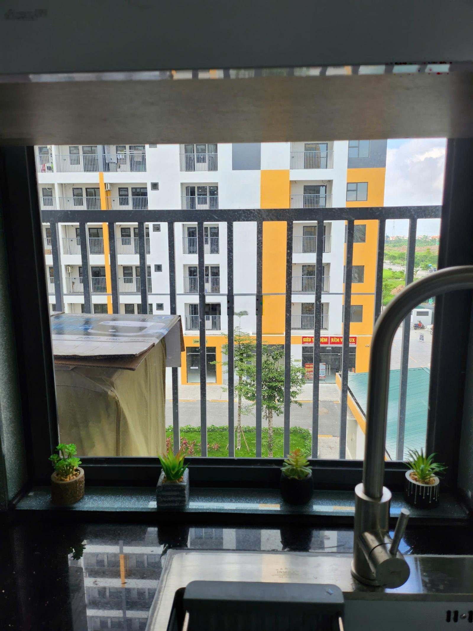 Cho thuê căn hộ studio 26m² Evergreen Tràng Duệ chỉ từ 3tr5