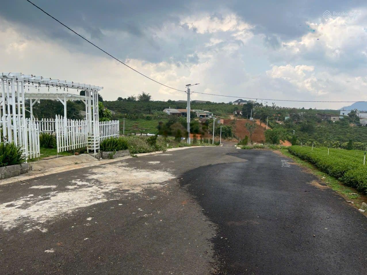 Xuất cảnh bán gấp - Bán đất Khúc Thừa Dụ 7403m² - 37 tỷ