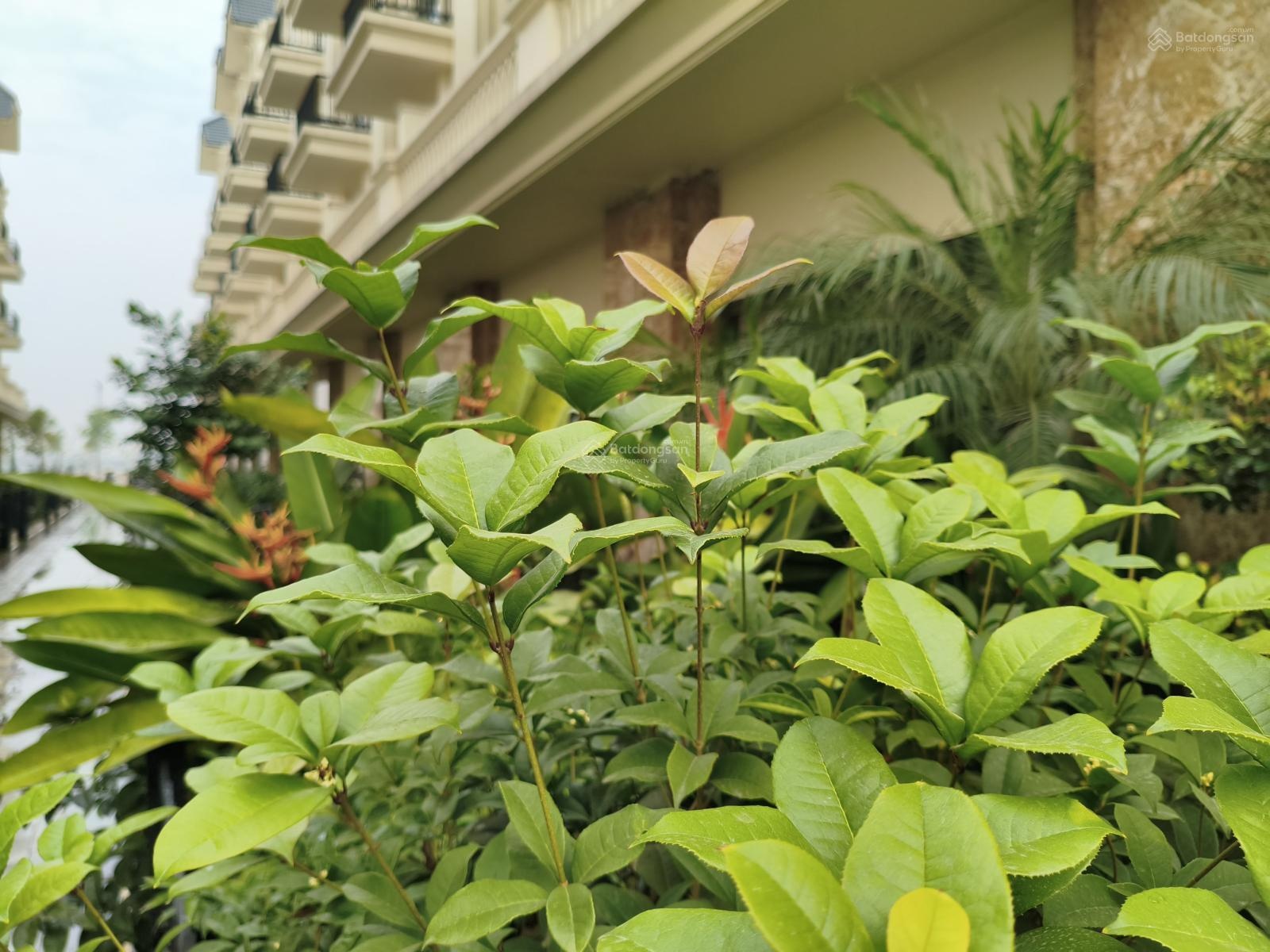 Nhà mặt phố 5 tầng ,đường tỉnh 286, Kimdocity Yên Phong Bắc Ninh. Sổ đỏ cá nhân.