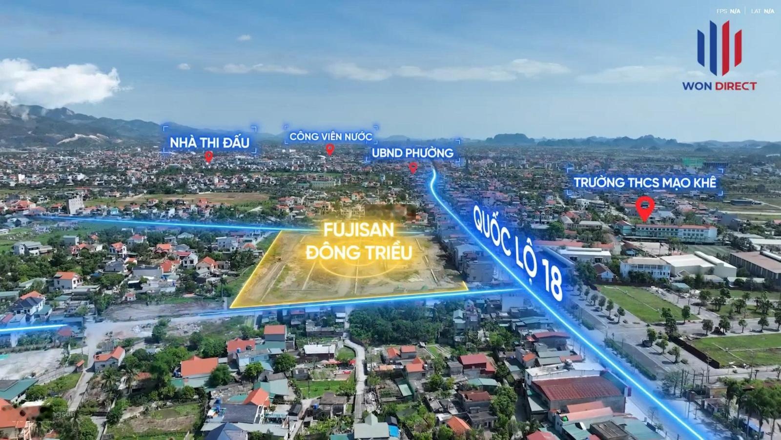 ảnh