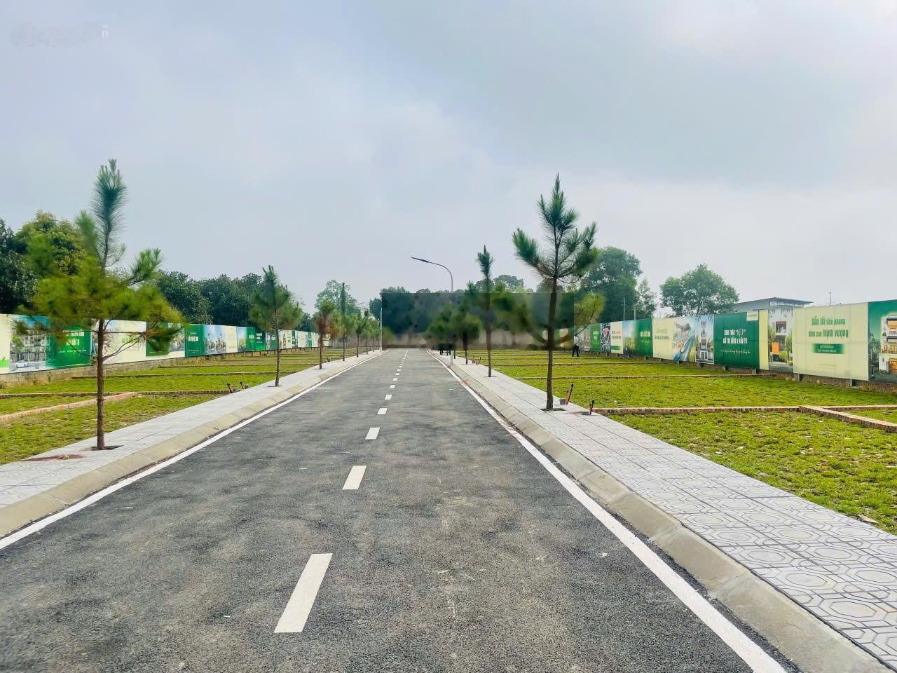 Bán đất cổ đông sơn tây vị trí đẹp, giá tốt, tiềm năng tăng giá