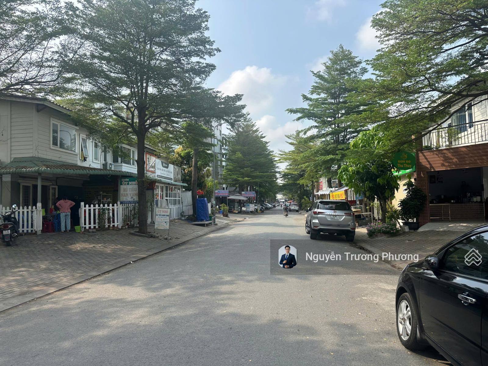 ảnh