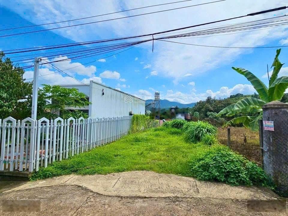 Bán nhanh lô nền 250m2 sổ sẵn chính chủ