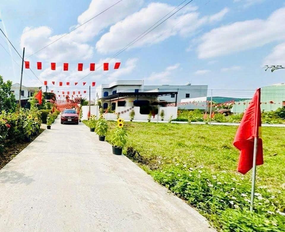 Lô diện tích 165m2 giá chỉ hơn 800 triệu