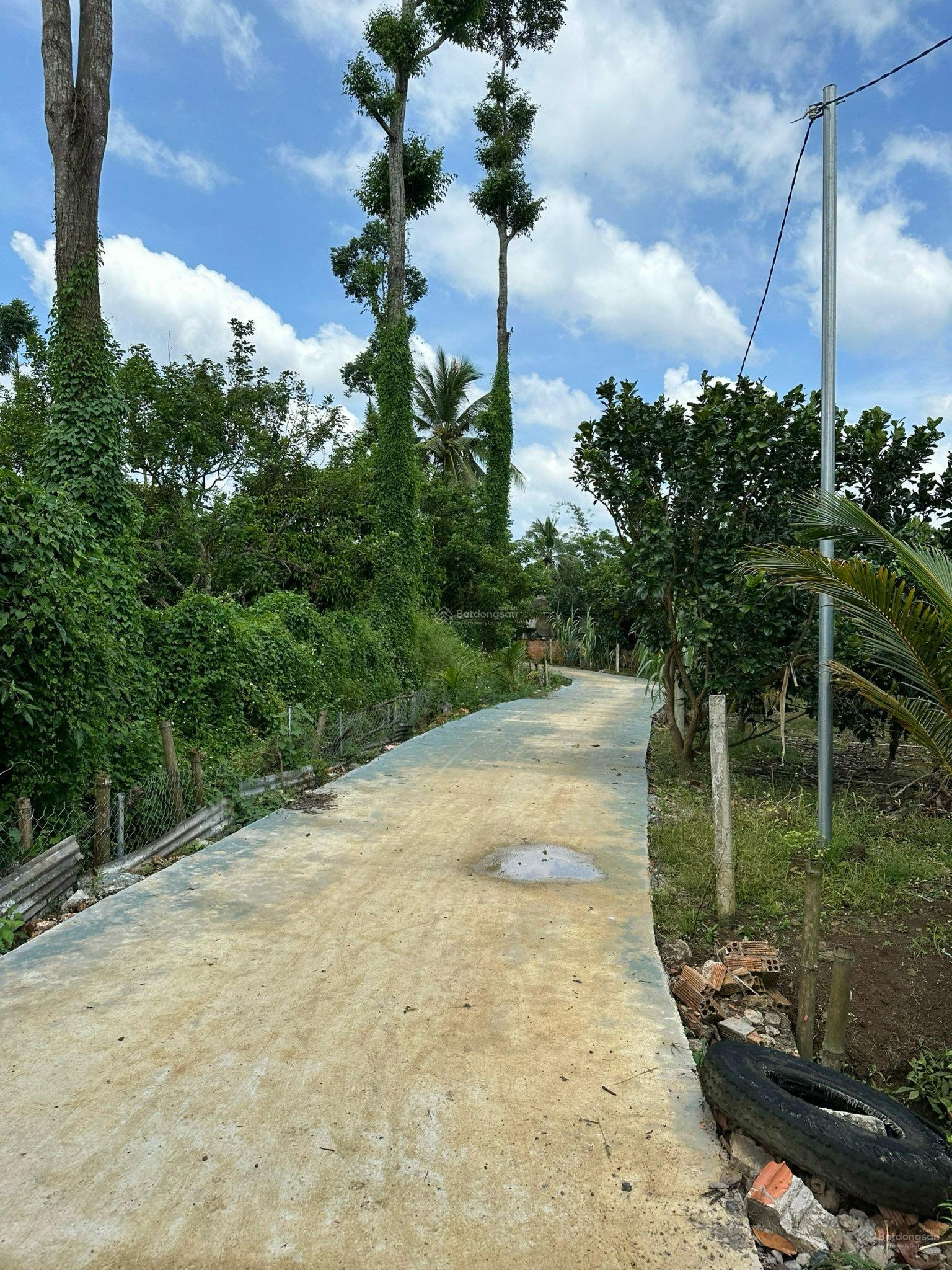 Bán đất có sẵn căn nhà cấp 4 kèm theo 300m2 đất ở