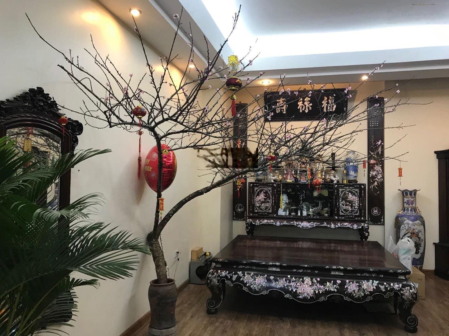 Hiếm! Chỉ chưa đến 300tr/m2 mà sở hữu căn nhà 70m2 mặt phố Ngọc Lâm. Đang cho thuê kinh doanh