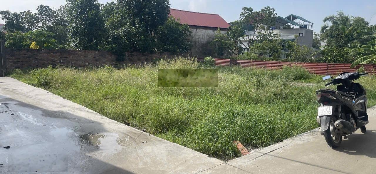 Chủ gửi lô góc hai mặt tiền tại thôn hòa lạc xã hòa phong thị xã Mỹ hào Diện tích 56,3m2 Mặt