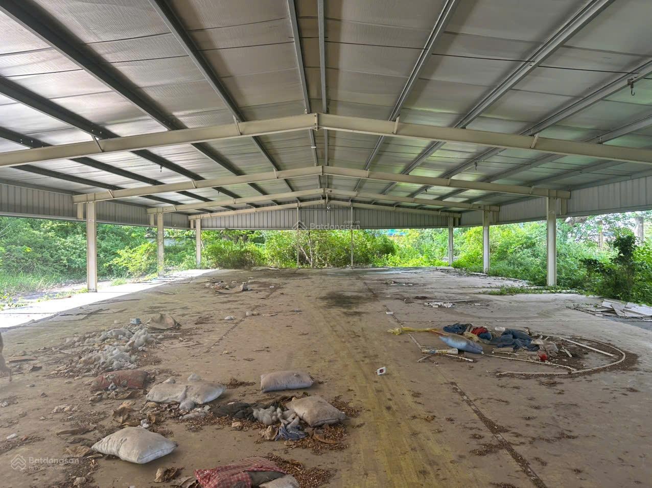 Cho Thuê Kho MT Đào Trí Phường Phú Thuận Diện Tích 15.000m2 Giá 80.000/m2
